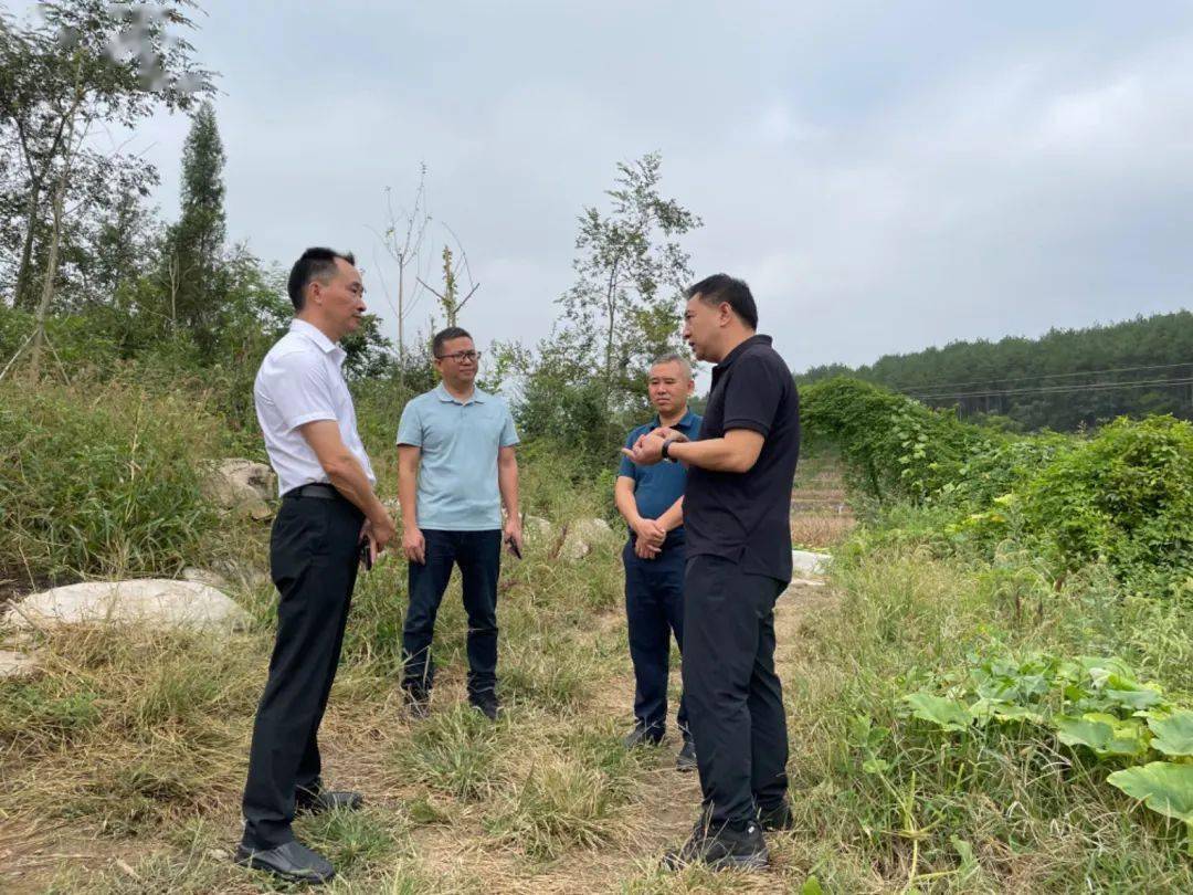 程劲松到播州区督导检查林业领域灾害防治工作_防火_森林