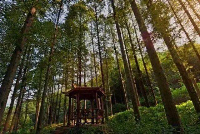 这6个景区人少景美未被过度开发!有些没门票!_红石_森林_鹤壁