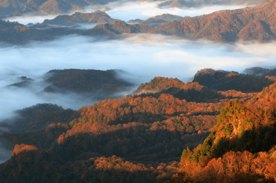 光雾山秋色被列入._景区_红叶_巴中