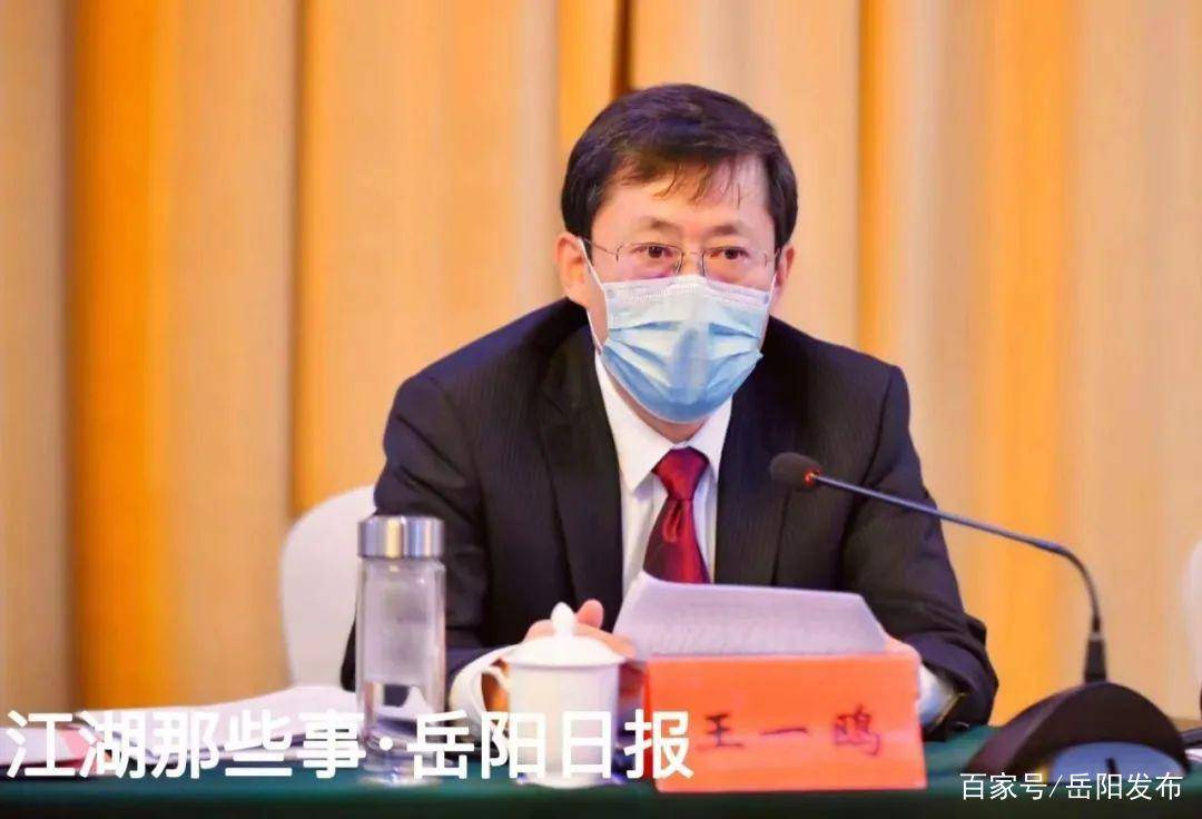 岳阳市委书记王一鸥参加临湘市代表团讨论