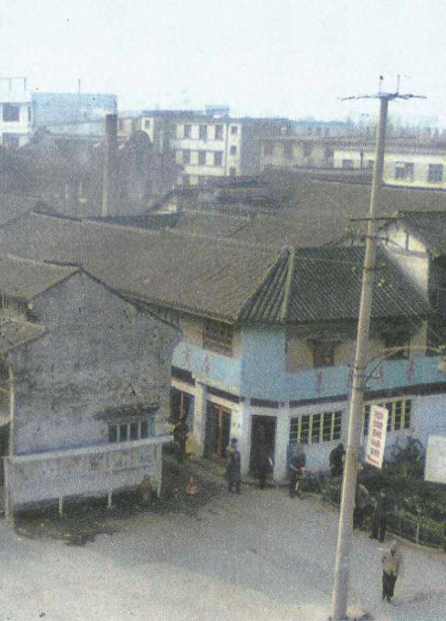 从此"上海县"这个地域名词成为绝唱,以"310221"开头的身份证序列号就