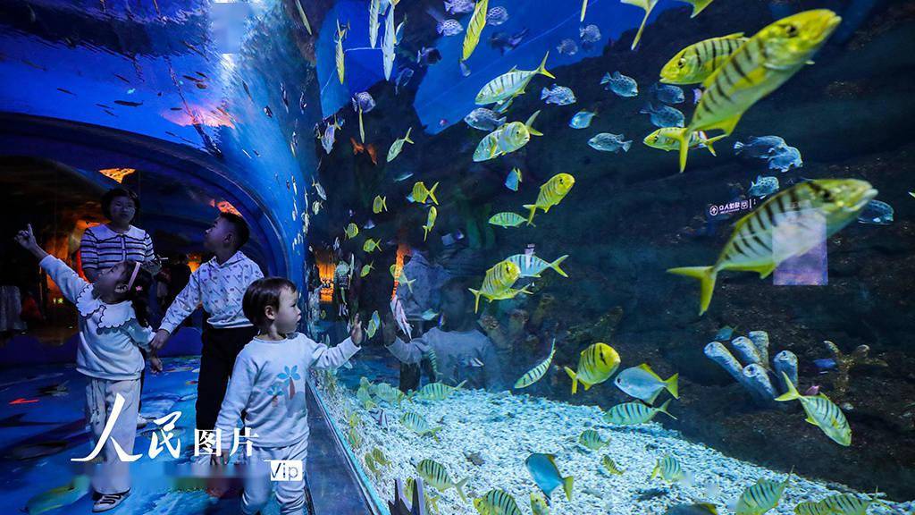 江苏淮安:海洋世界里度假期_赵启瑞_龙宫_游客