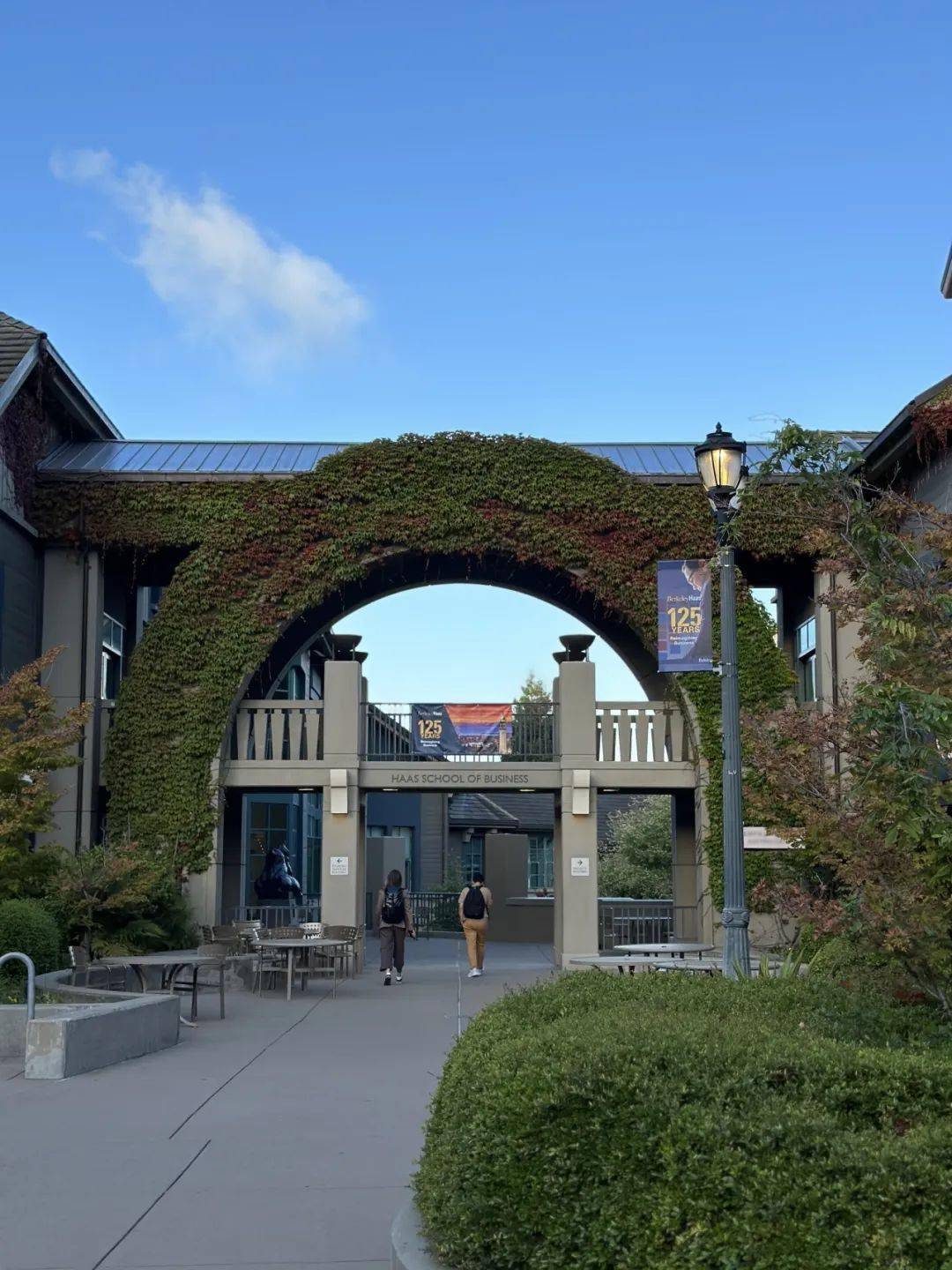 2023交大安泰mba美西游学