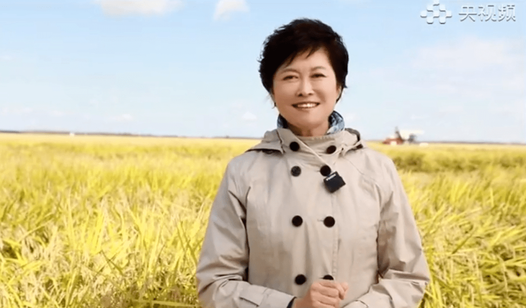 敬一丹带广大网友来哈尔滨看看_文化_家乡_北大荒博物馆