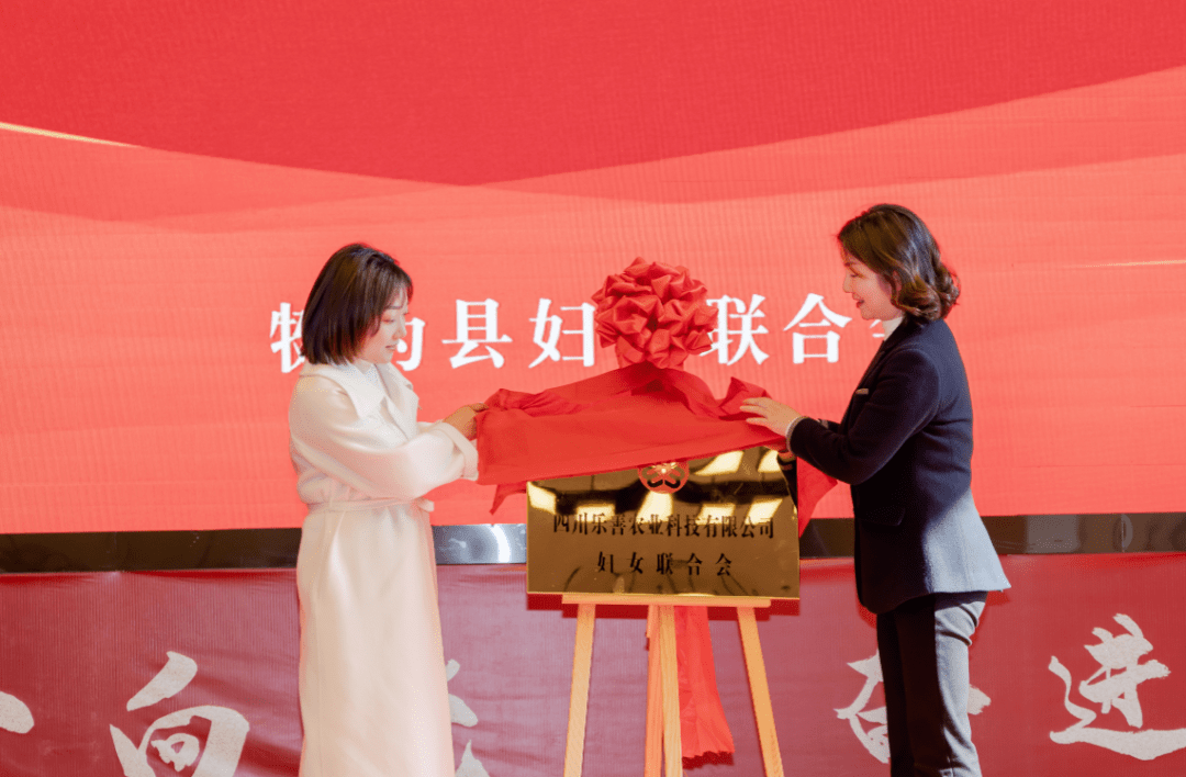 喜迎妇女第八大丨巾帼五年建新功（二）