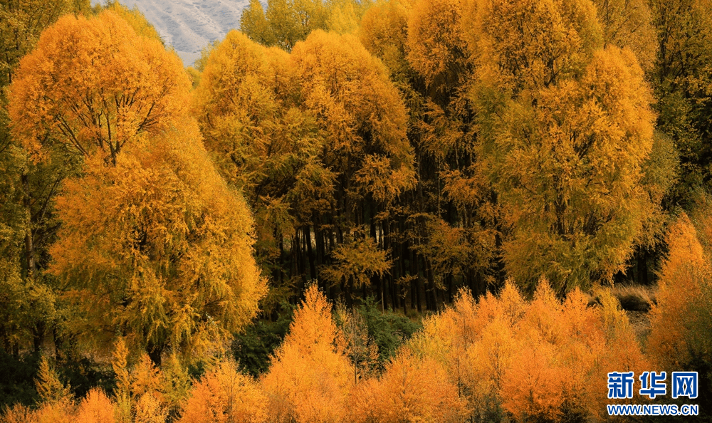 【"飞阅"中国】秋染焉支山_山丹县_张掖市_画卷