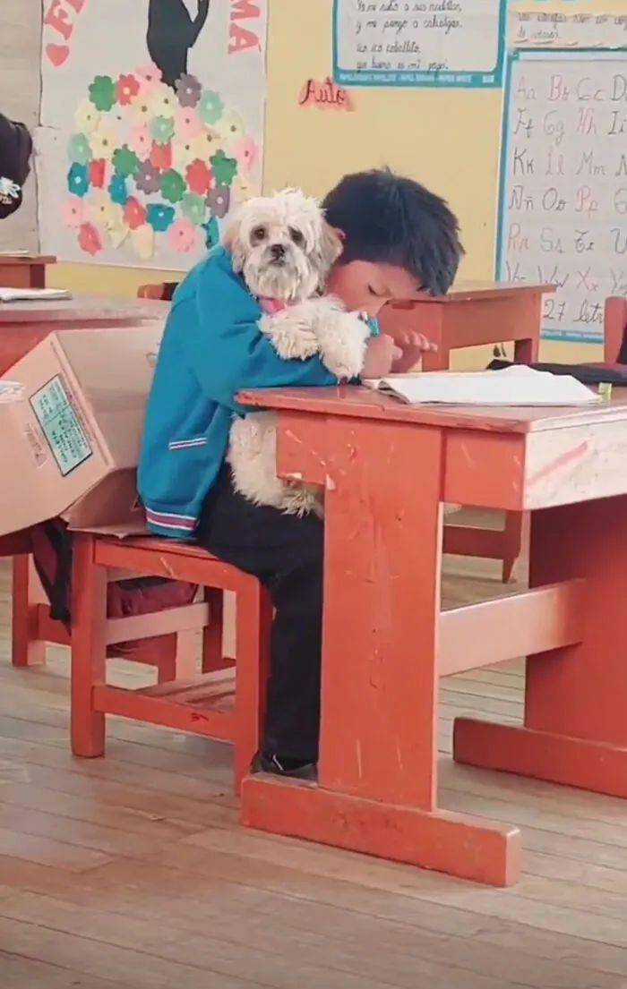 小学生问能够带狗上学吗，教师允许后慨叹：幸亏赞同了！ 