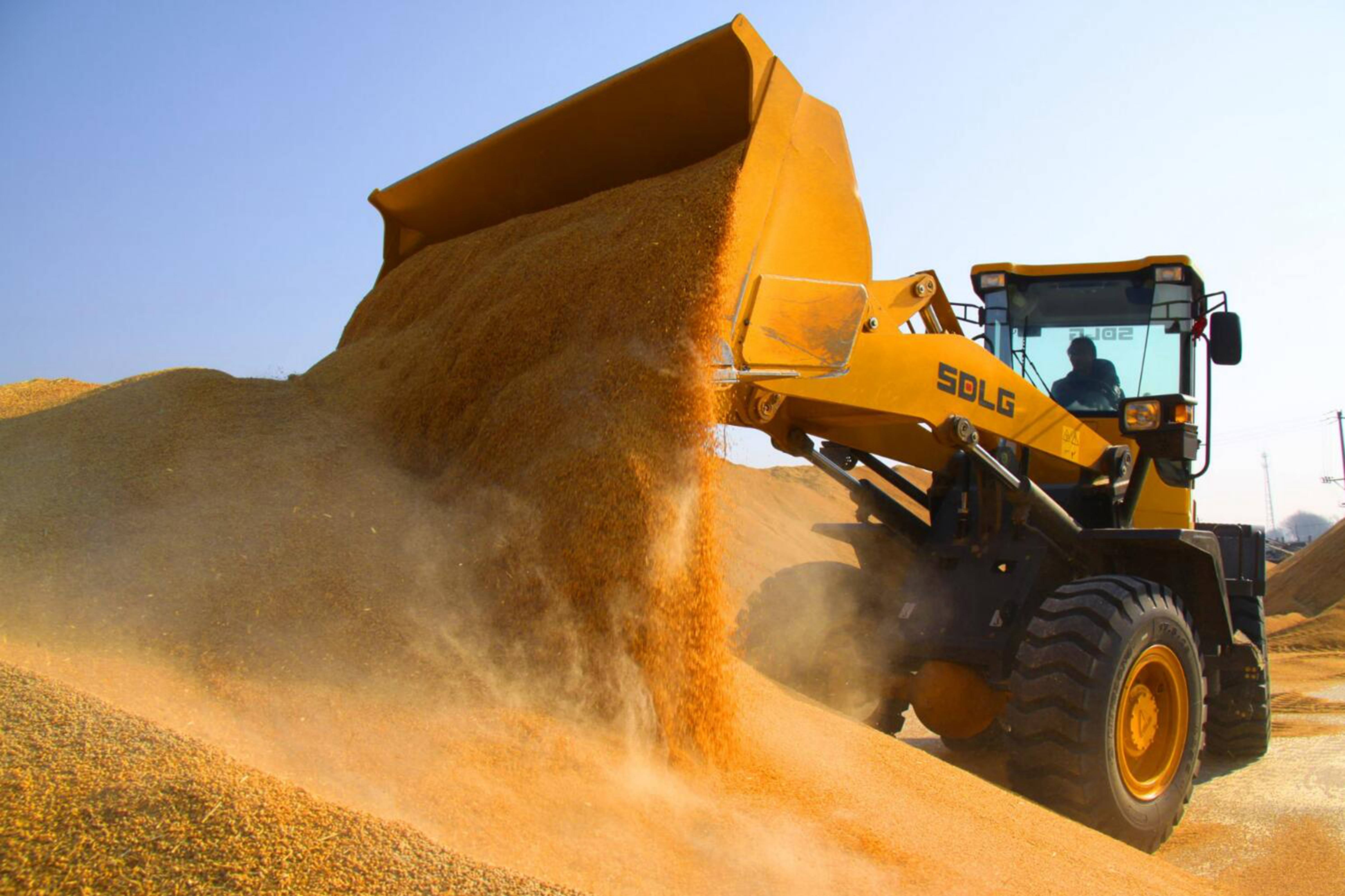 管理人员每天三次测量水分和粮堆温度,及时告知粮食价格,卖粮啥心也没