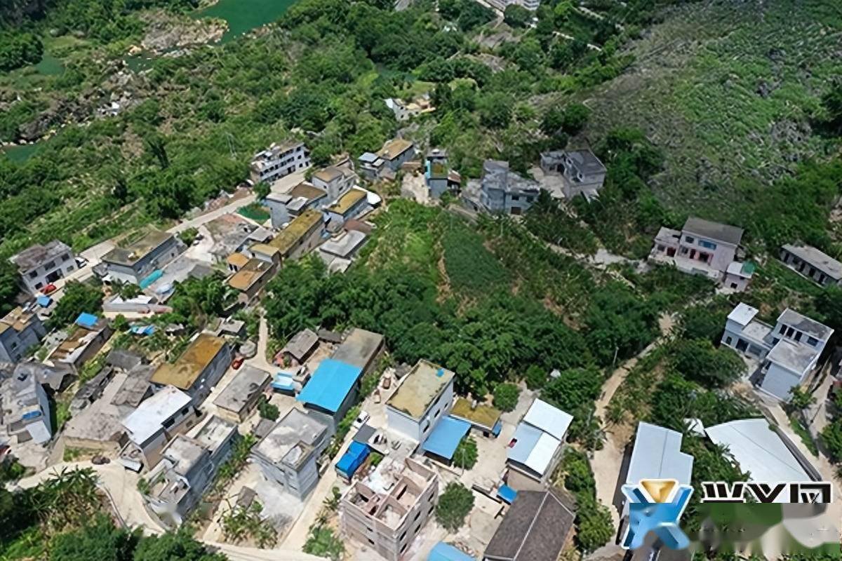 德卧镇郎行村:深入推进人居环境整治 建设宜居宜业和美乡村_产业_芭蕉