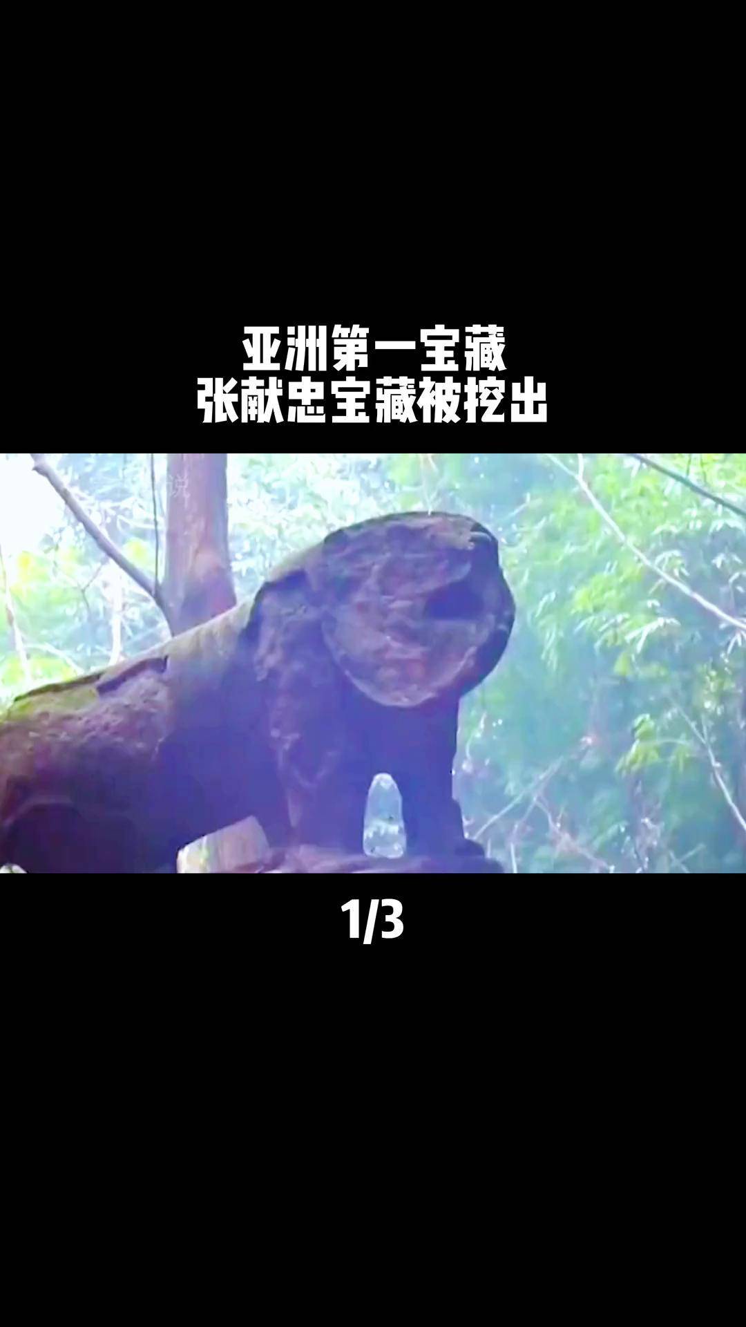 亚洲第一宝藏 张献忠宝藏被挖出古墓 考古 考古解说 历史 悬疑