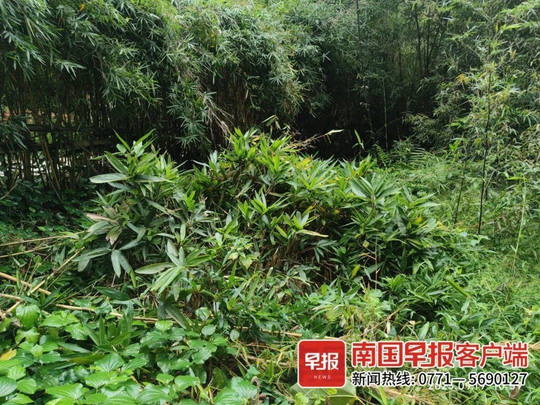 早读七点丨今天开始报名！这项重要考试时间定了→