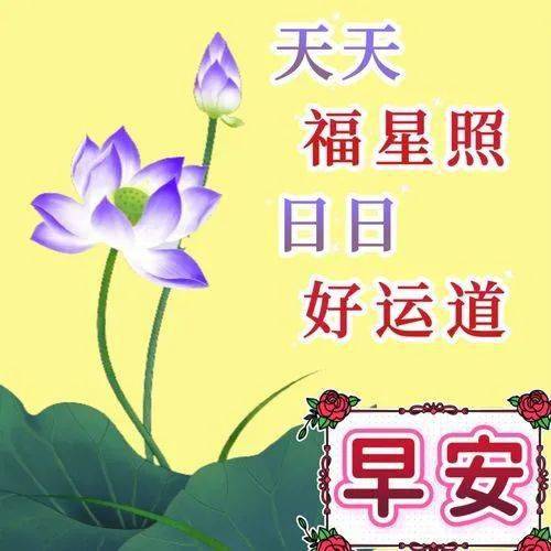 早安问候祝福语大全，祝你工作顺利，日日安康