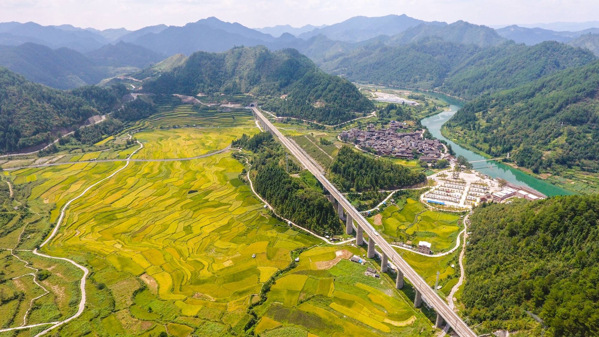 烘焙设备市场动态解析