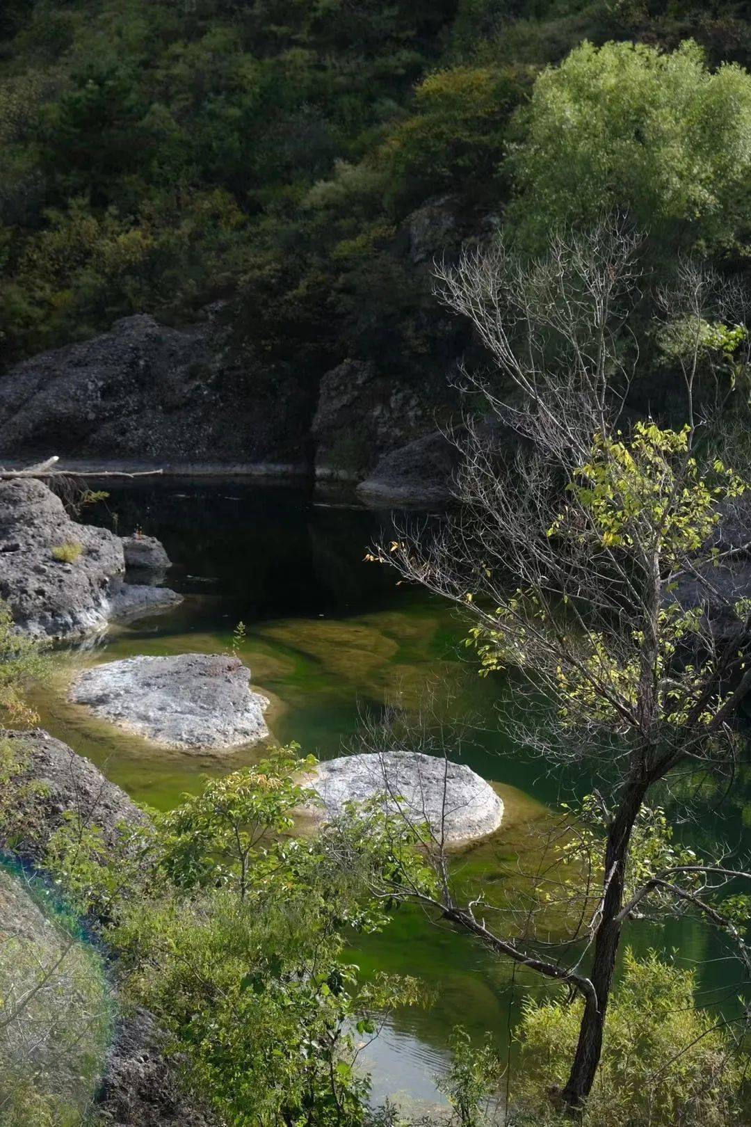 1021-22丨深秋河谷月光