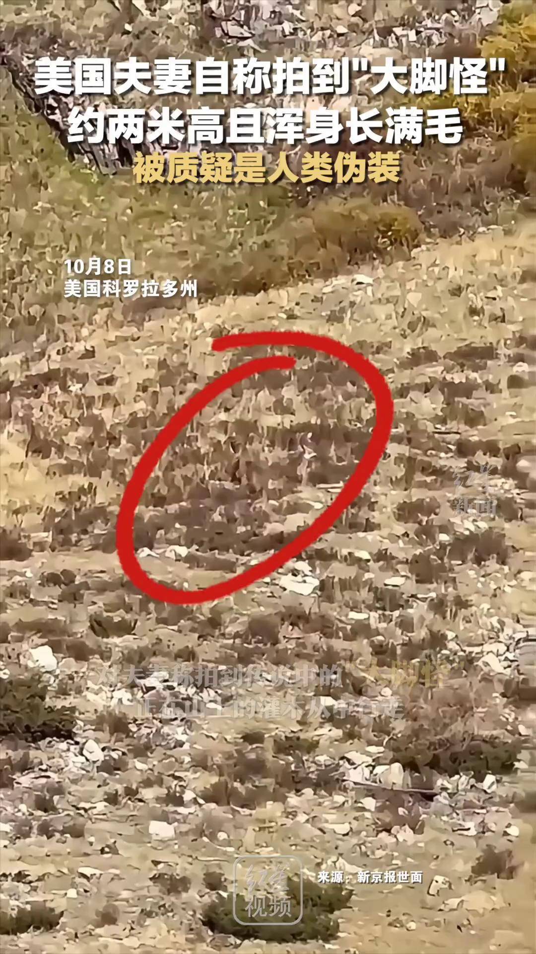 美国夫妻自称拍到"大脚怪",约两米高且浑身长满毛,被质疑是人类伪装