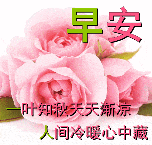 10月19日早上好动态表情图片大全,早晨好动图美图大全_祝福_开心_爱的