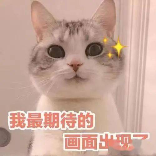 明日开始,连抢三天→_活动_消费_通用