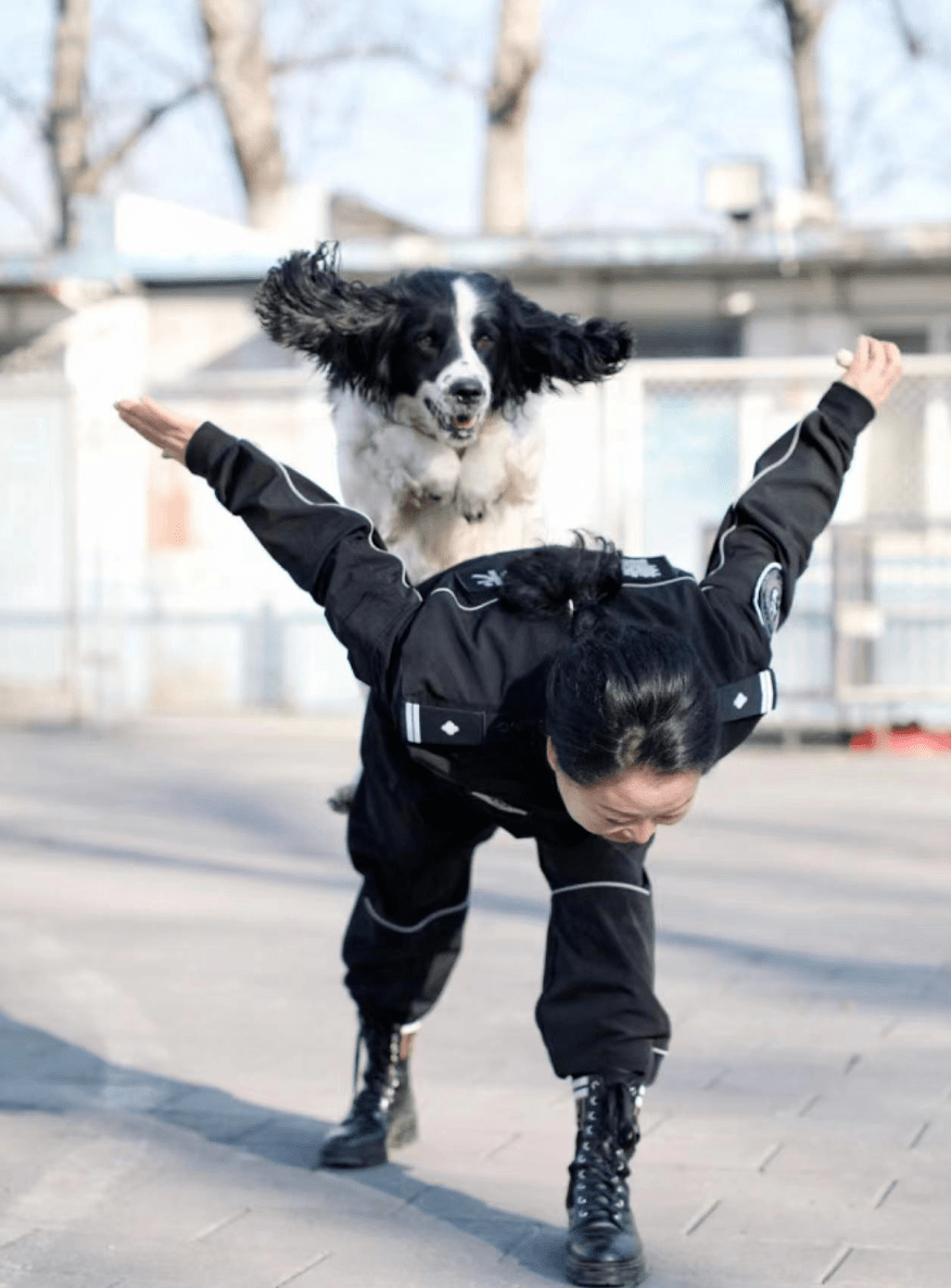 女童遭烈犬撕咬！狗对人发起攻击，该咋办？_柴静_小孩_成年人