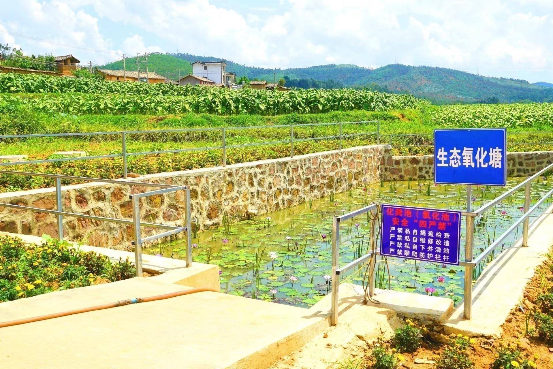 餐厨,洗涤,洗浴等"灰水"被接入沉淀池,厕所和圈舍的"黑水"接入化粪池