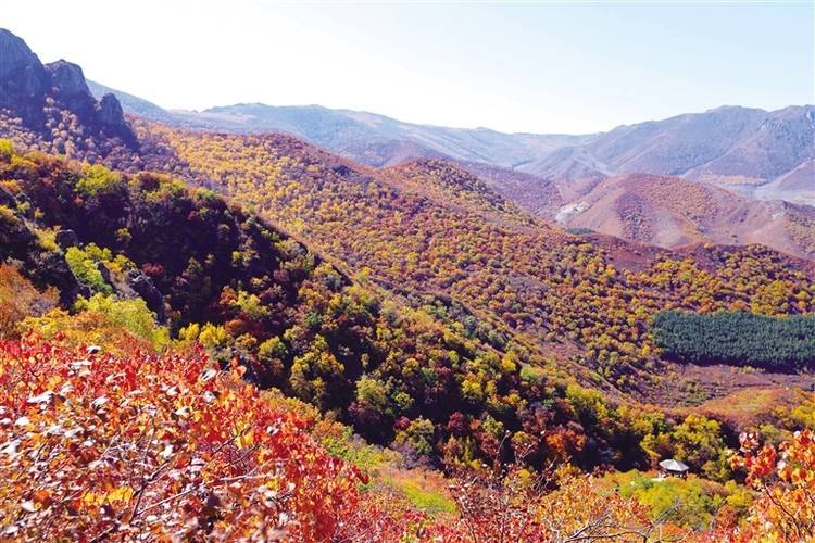 斑斓秋色入画来_大青山_呼和浩特_原生态