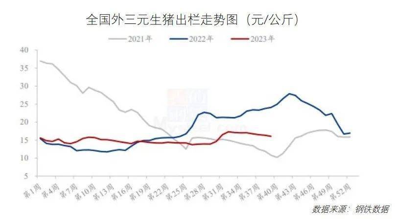 鸡鸭价格震荡下行！10月最新餐饮食材采购行情报告来了