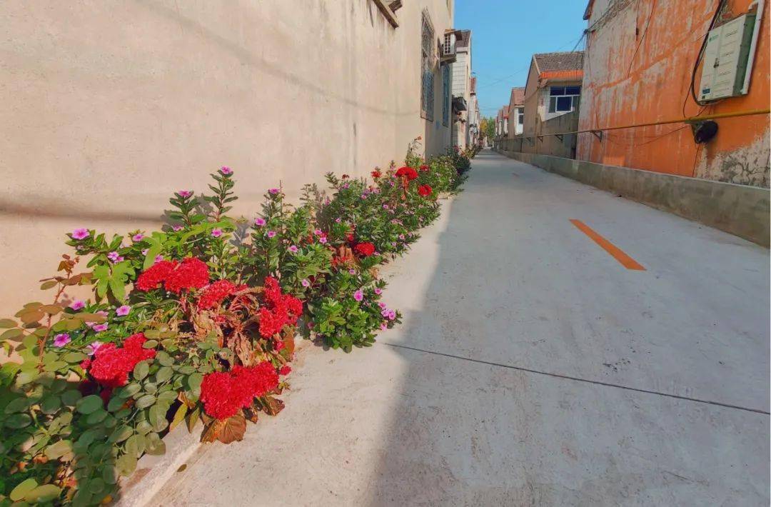 "村在绿中,房在园中,人在花中" 白塔镇小海眼村"花园式"呈现_进行