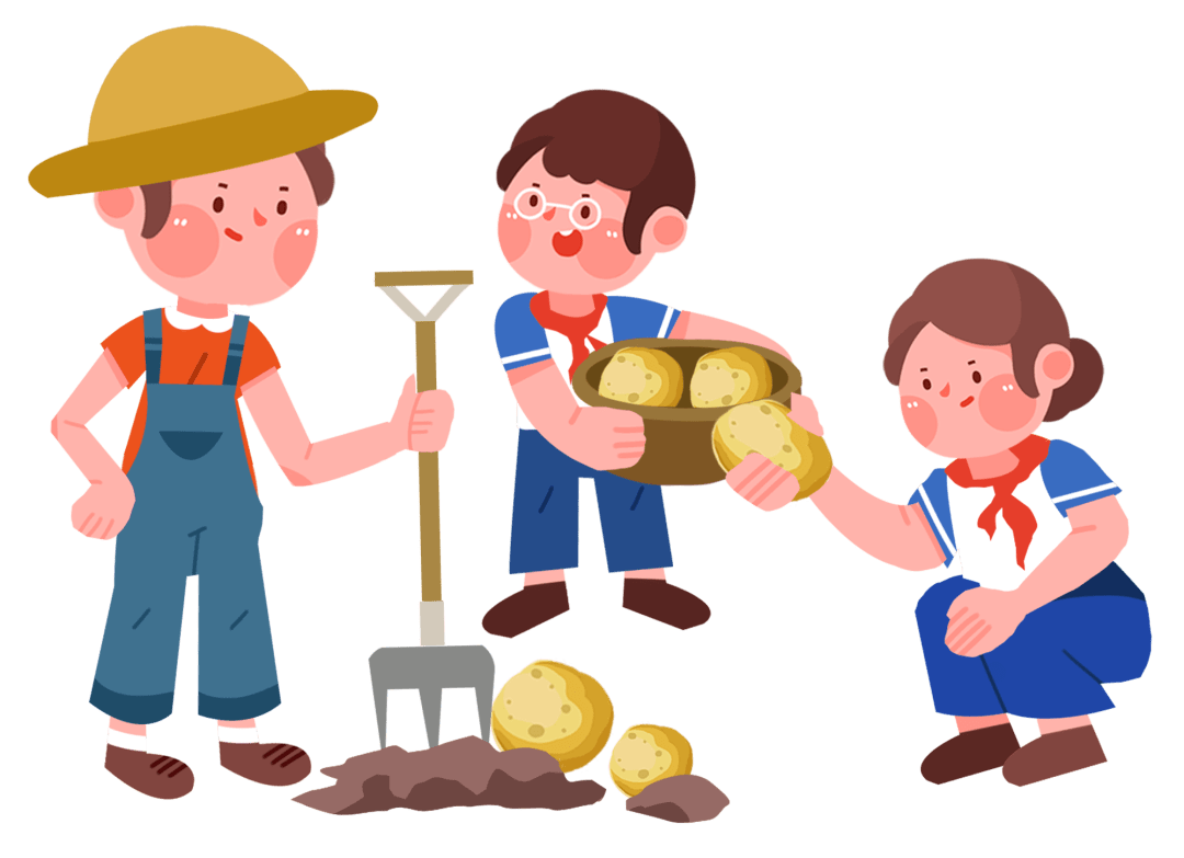 ""田里!"_劳动_实践_红薯