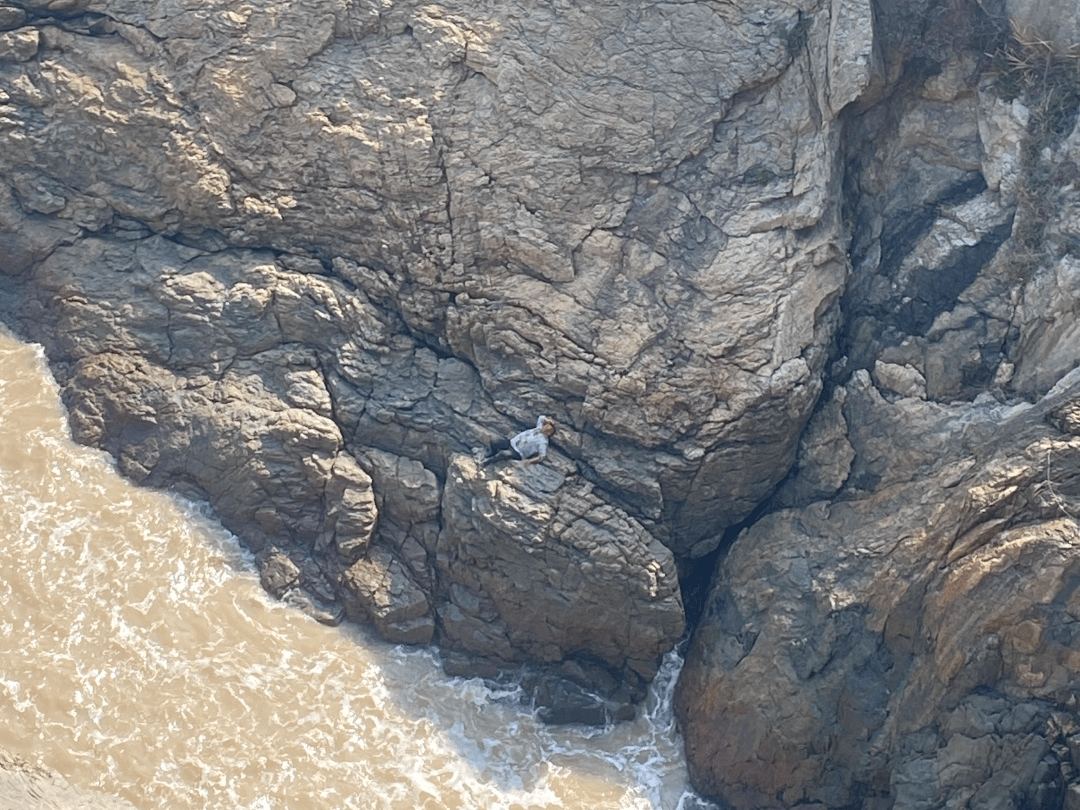 苍南一人掉下悬崖_男子_礁石_救援