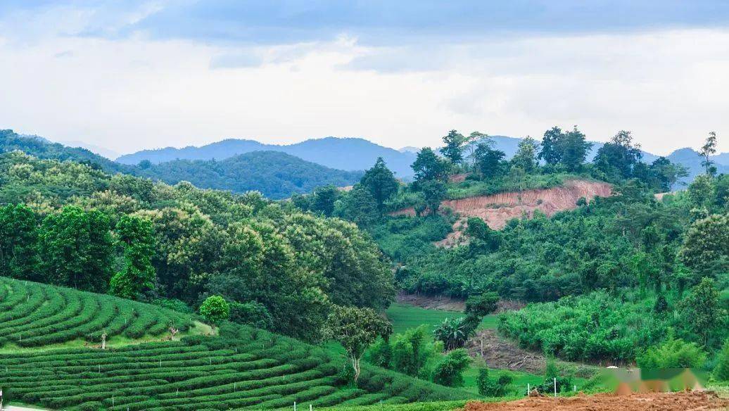 墓地风水之后倚仗圆山,这是分,前面有尖山相迎,这是合,后要有分,前要