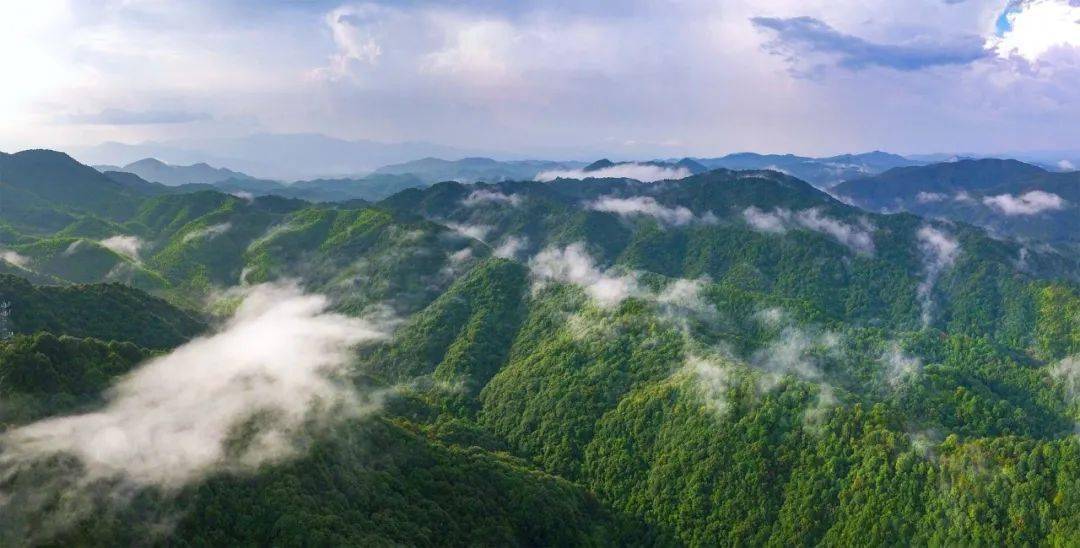 东源康禾省级自然保护区酒店环境曲龙村"红色祠堂"温泉度假村文旅体验