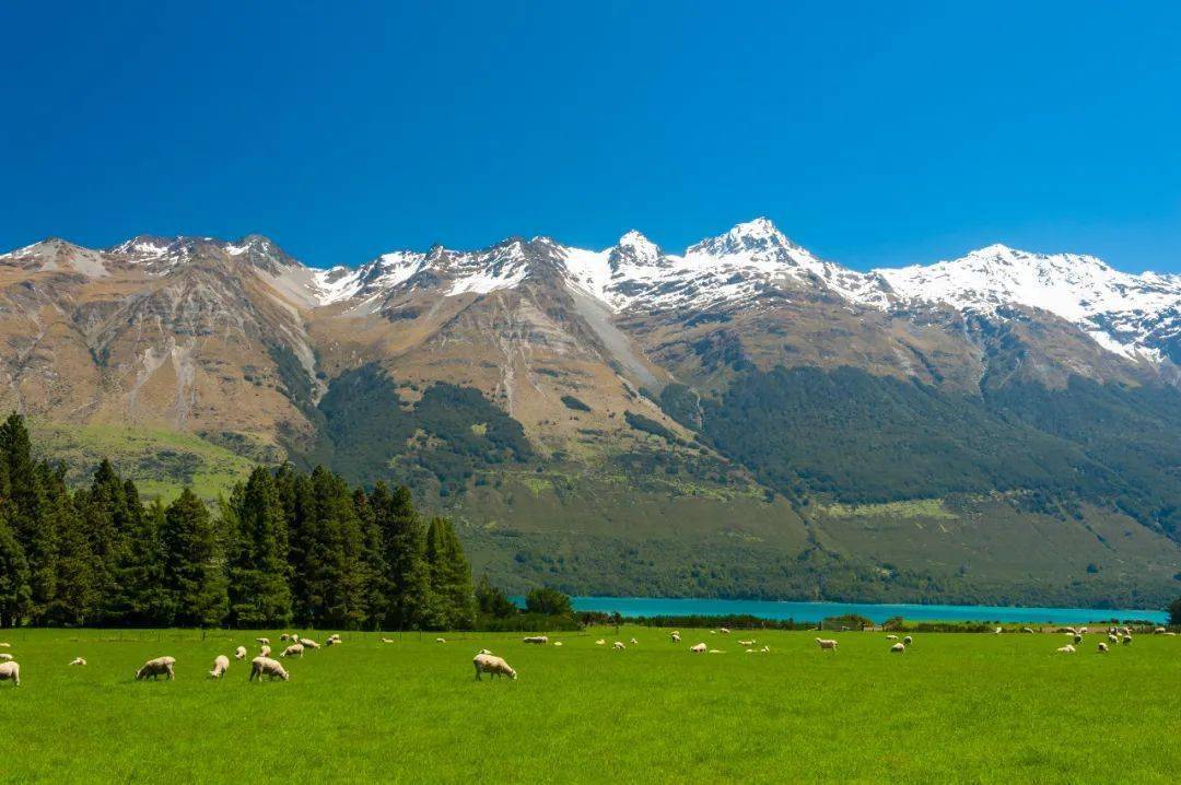 新西兰风景介绍图片