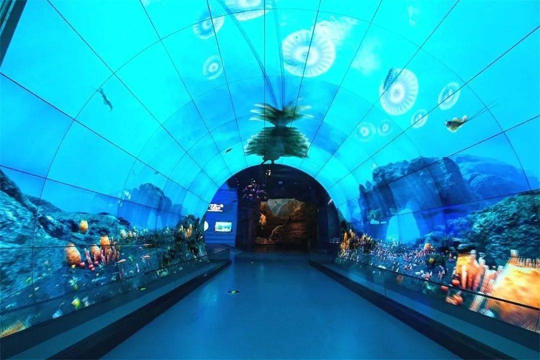 休闲玉溪 纯净之地丨抚仙湖2天1晚环湖休闲游_小镇_小湾村_孤山