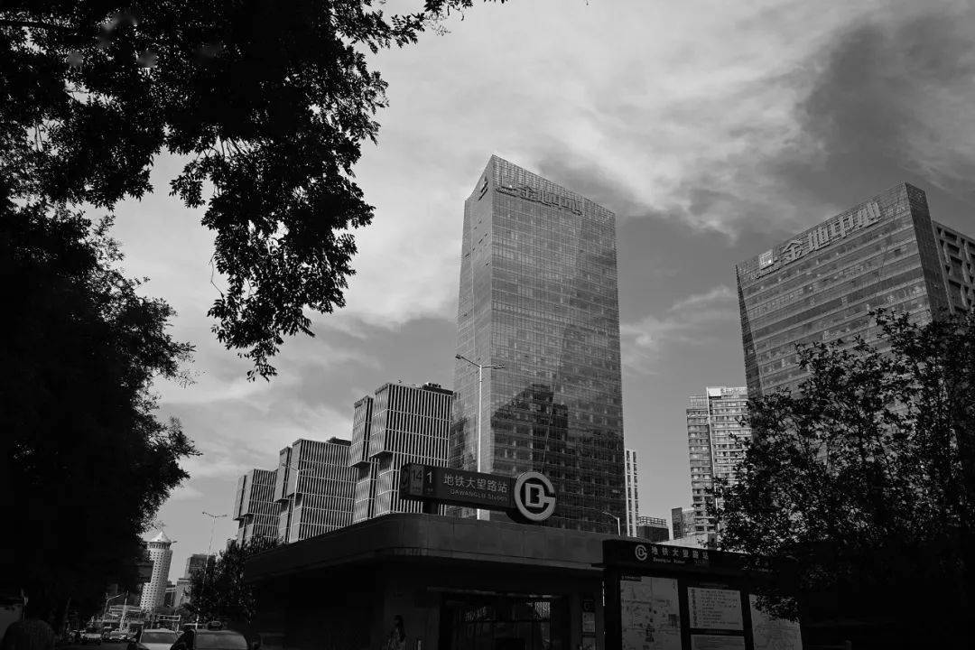 从实拍来看mc单色是以往尼康相机都具备黑白模式,平面单色(fm) 就像