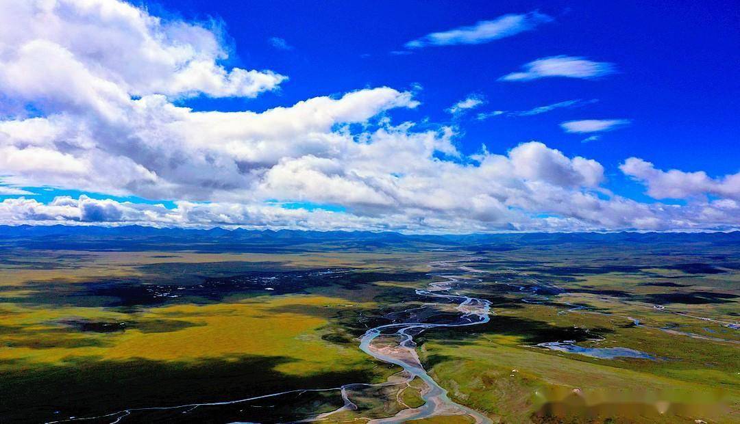 《青海玉树行》洁净的玉树,广阔唯美的大草原