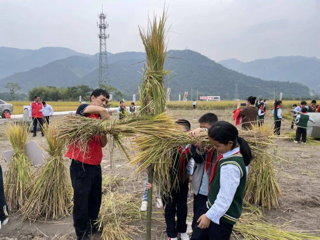 临海市尤溪镇中心校图片