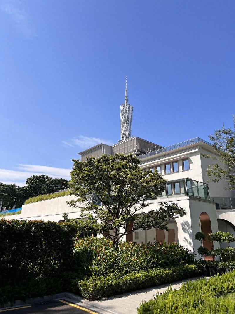 海心乘韵,动感邻里,自在观鸟——广州海心沙英迪格酒店_房间_味道_光