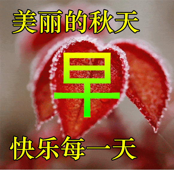10月28日秋天早上好动态表情图片及早晨好动图美图大全 活着就是胜利