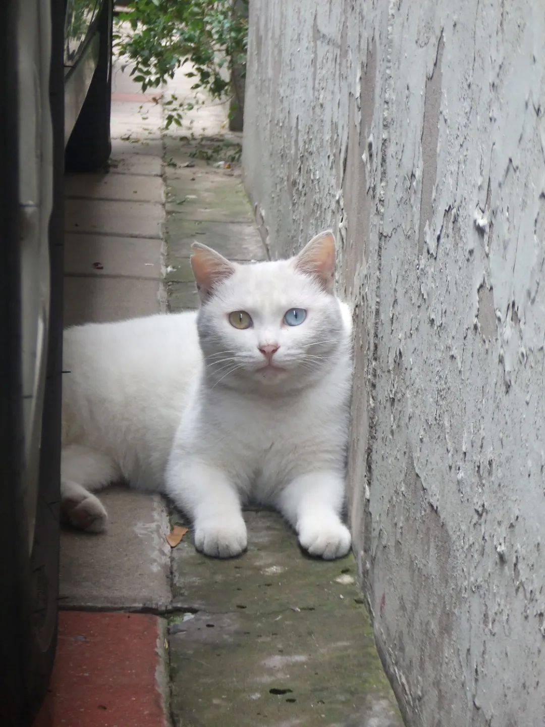 有奖|翻包少数派,我们找了 4 位作者分享他们的秋日 edc_融水县_无人