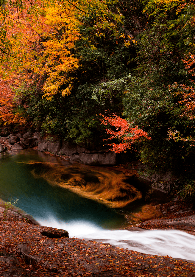 红叶_风景区_大坝