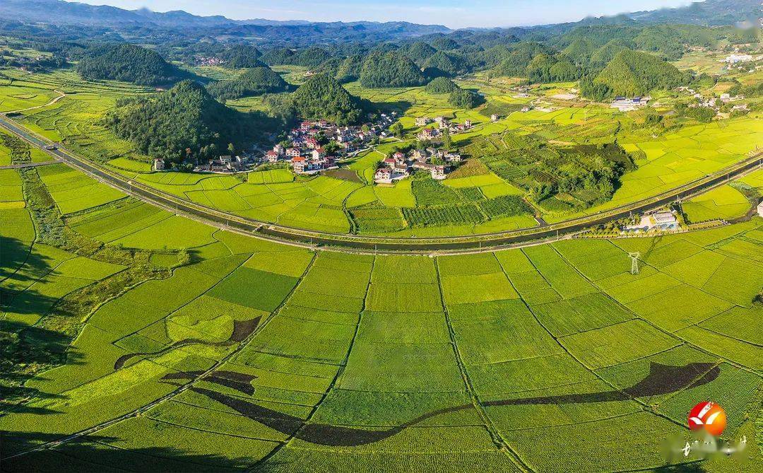 花垣:专项监督护民利_花垣县_补贴_问题