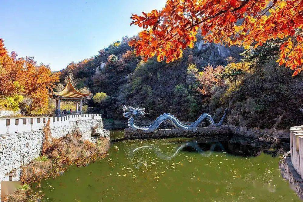 昌平延寿"五彩大杨山",色彩斑斓的秋天_树种_植物_特色