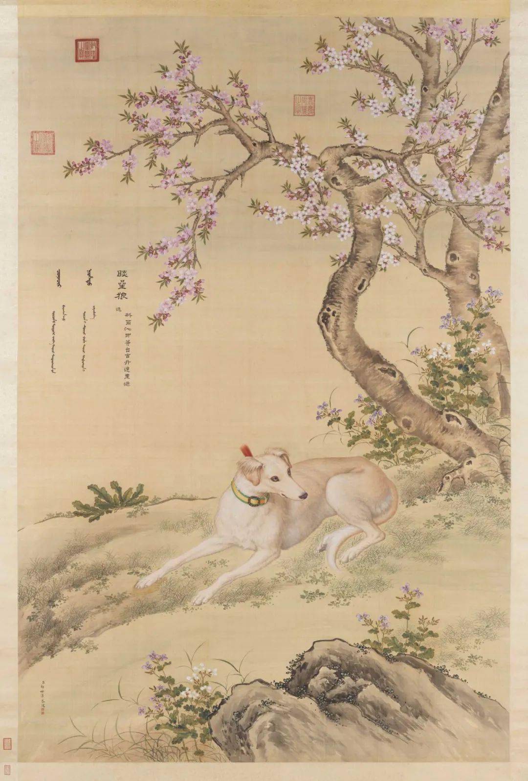 郎世宁《十骏犬图之七 茹黄豹》▲郎世宁《十骏犬图之六 墨玉璃