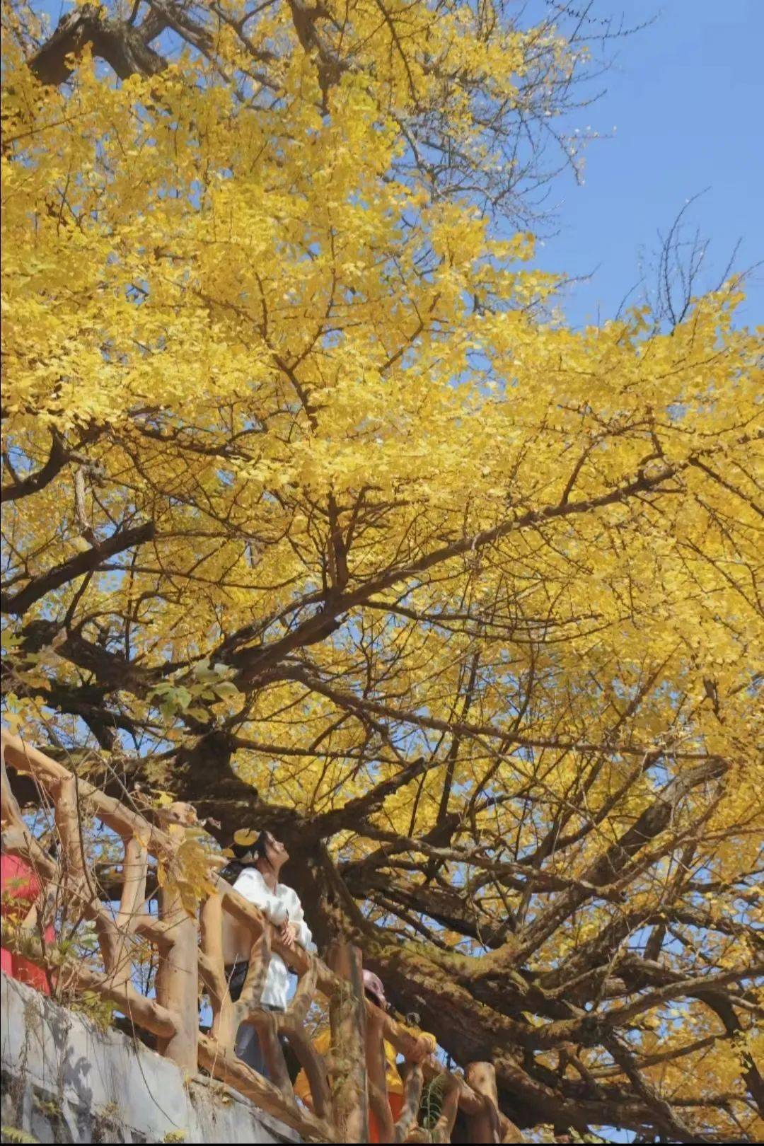 摄影:若水,夏雯99地址:贵阳市白云区牛场布依族乡白岩"湖潮乡二十六