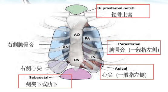 胸骨旁长轴与胸骨旁短轴各切面的扫查方法及超声上的所示的解剖结构