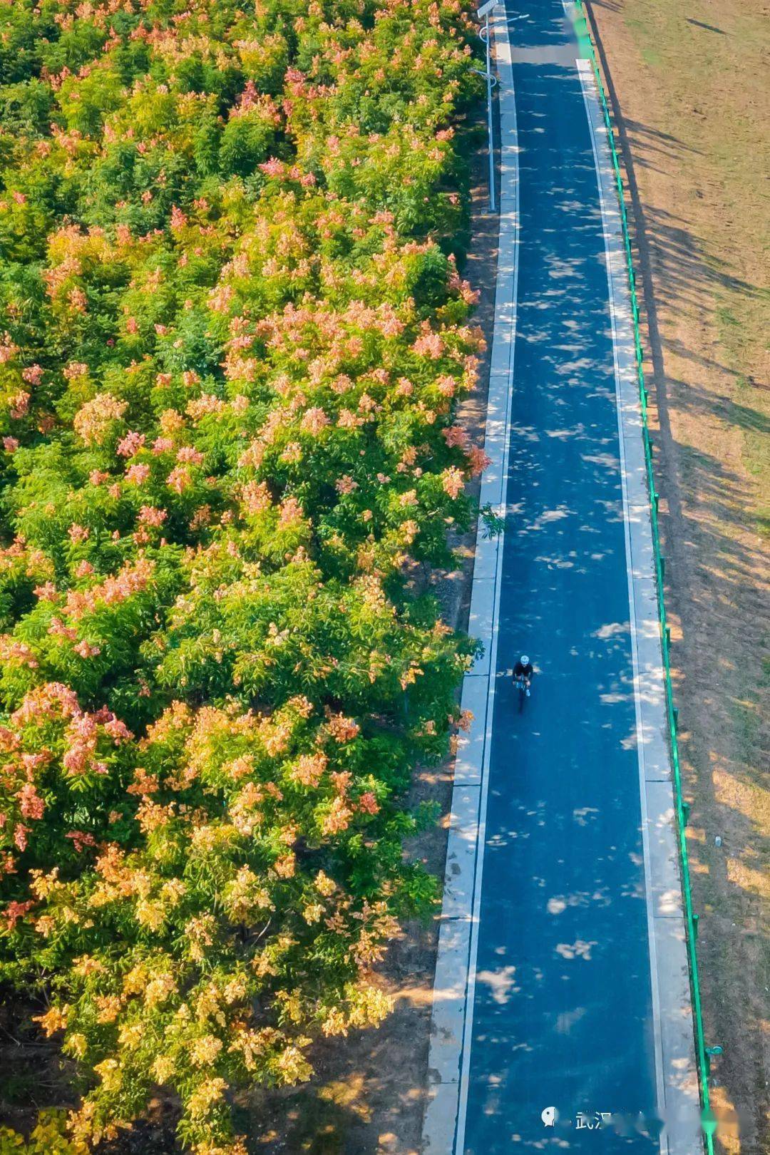 金银湖绿道骑行路线图片