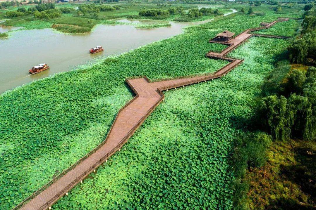 博山岜山中医药健康旅游区岜山中医药健康旅游示范基地位于山东省淄博