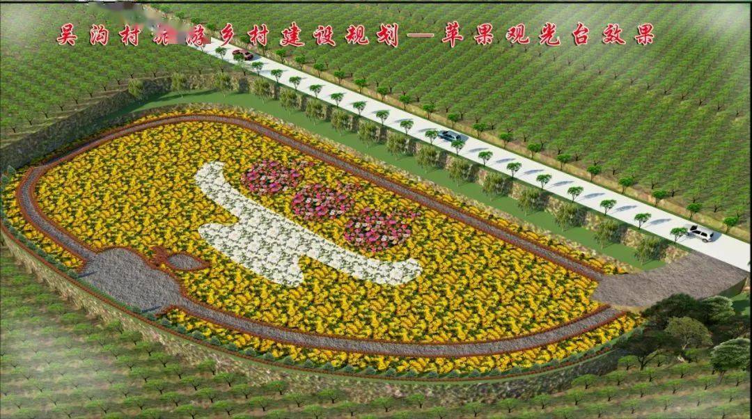 对庄浪县朱店镇吴沟村1300亩山地梯田有机苹果进行铺设地布,增施有机