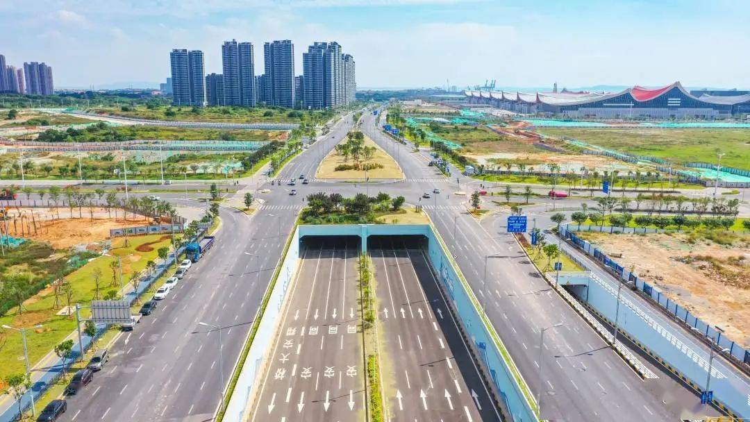 翔安这条路正式通车!_滨海_隧道_大道