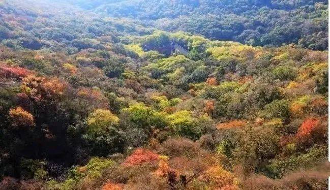 活动政策活动期间,皇藏峪景区(单景区)入园门票半价(不享受折上折)三