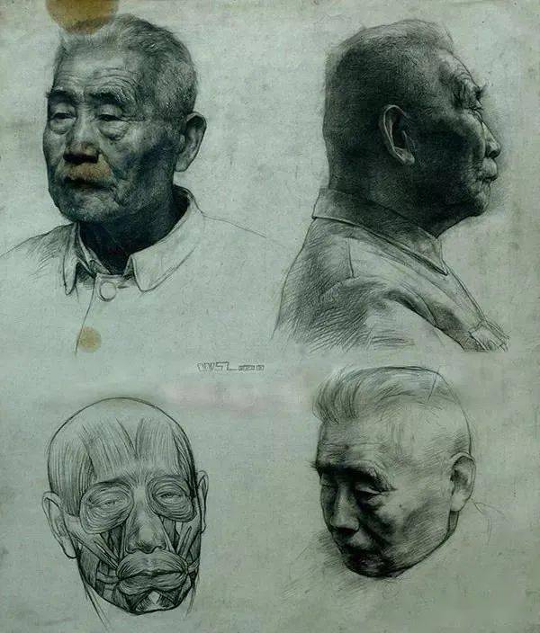 悼念| 中央美术学院教授王少伦先生_油画_cm_素描